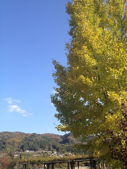 a0259293_225499.jpg