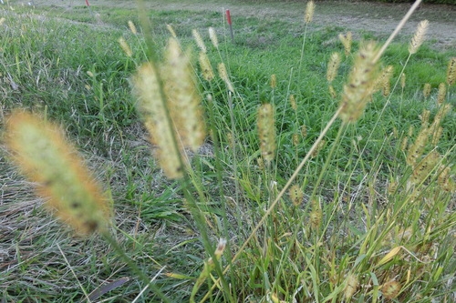 f0153998_2338509.jpg