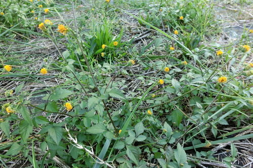 f0153998_23403960.jpg