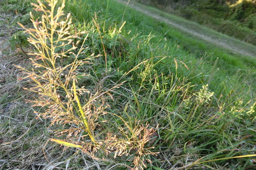 f0153998_23405756.jpg