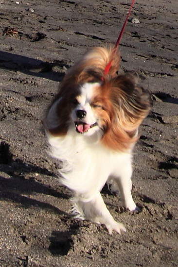 c0044199_2104857.jpg