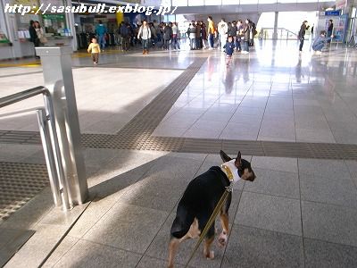 e0145805_18213828.jpg