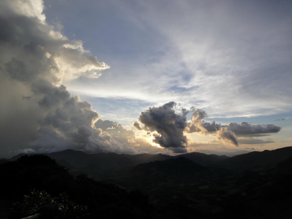 e0200405_0571562.jpg