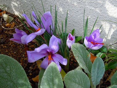 c0117007_17504057.jpg