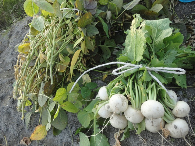 f0231709_2250428.jpg