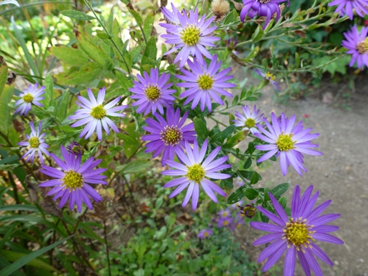 c0042418_16254875.jpg