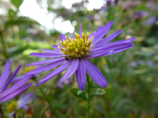 c0042418_16261855.jpg