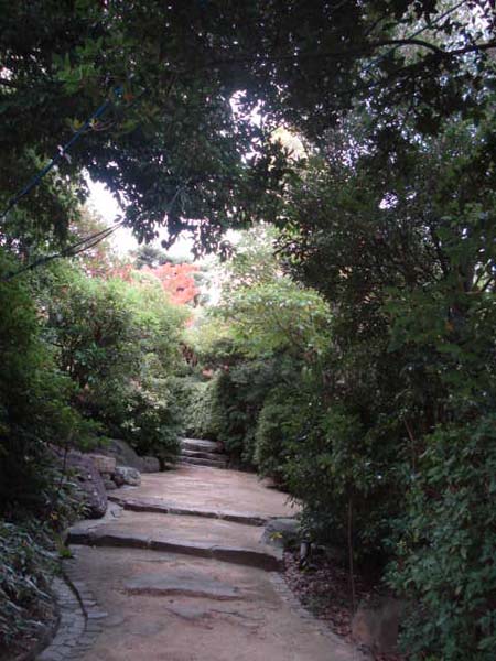 e0110719_16284825.jpg