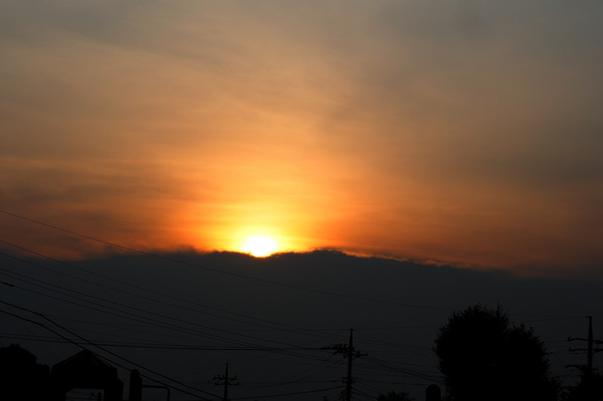 e0135024_12294329.jpg