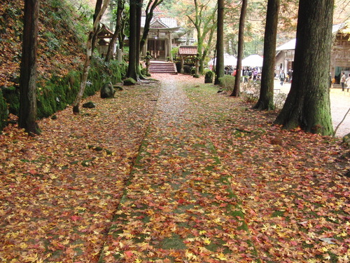 f0111128_10173787.jpg