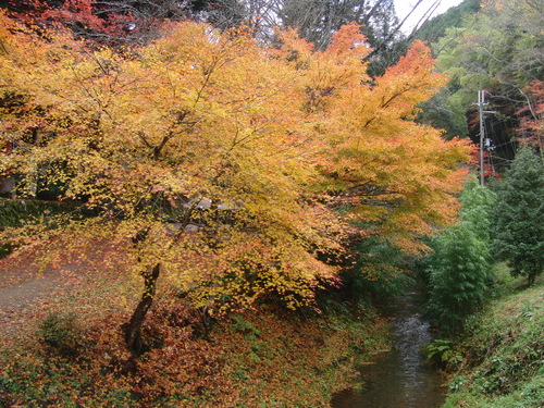 f0111128_101804.jpg