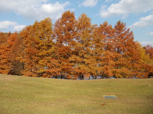 f0111128_10205550.jpg