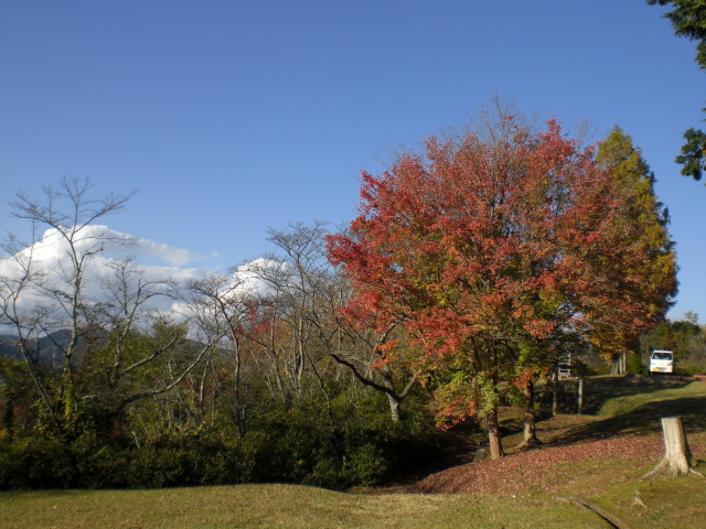 f0111128_10265450.jpg