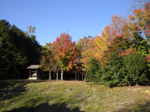 f0111128_10315593.jpg
