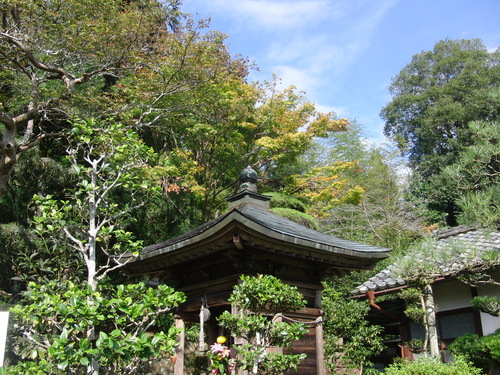 f0111128_1035416.jpg
