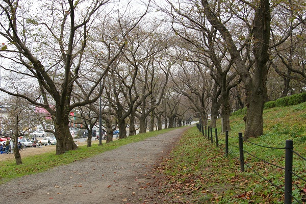 a0024829_12465837.jpg