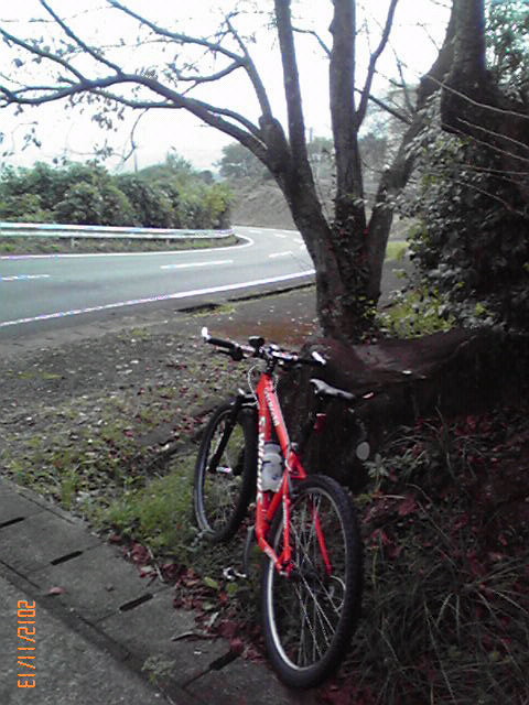 b0222530_1624098.jpg