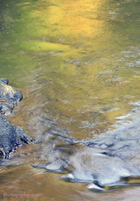 e0083238_2056475.jpg