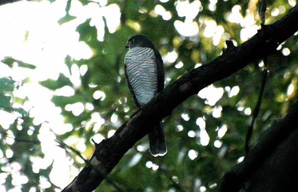 b0019140_13462559.jpg