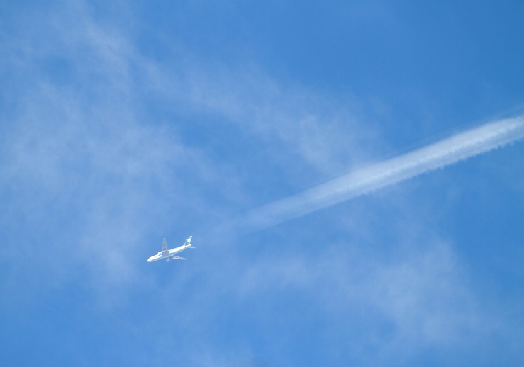 b0242140_1143012.jpg