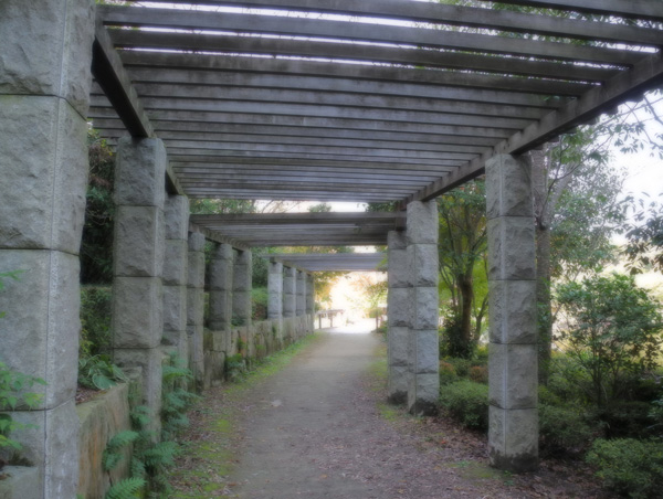 d0164443_13205019.jpg