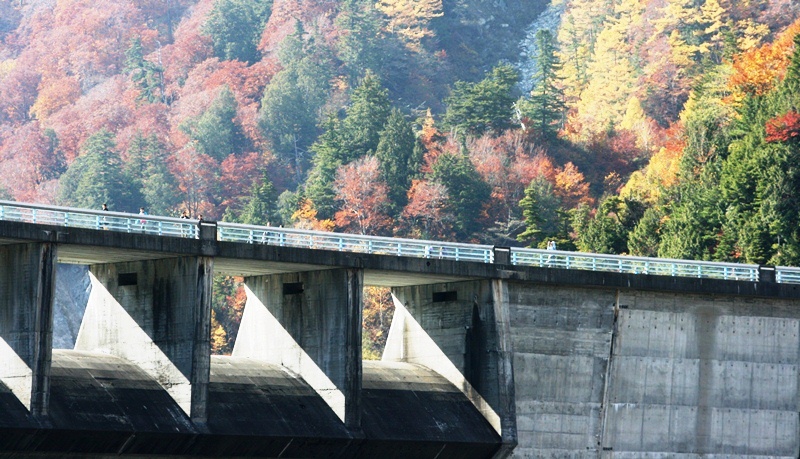 b0289649_1829836.jpg
