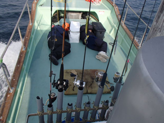 a0248152_1973677.jpg