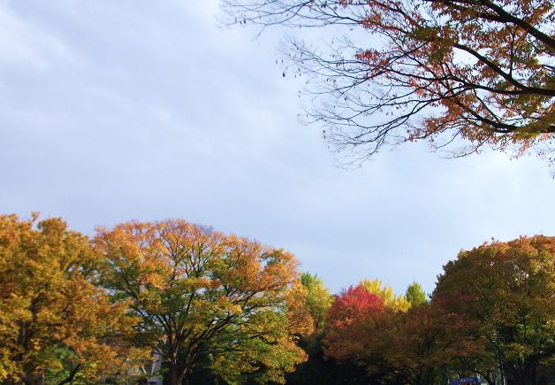 e0277352_2216561.jpg