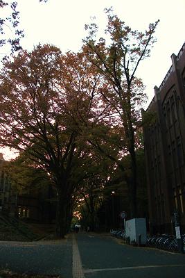 e0277352_2248555.jpg