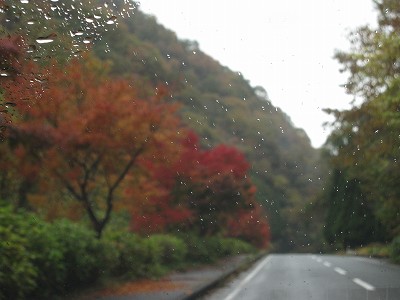d0031853_16231189.jpg