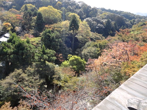 f0046854_2344643.jpg