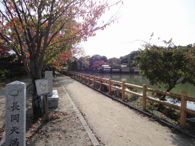a0181459_2091133.jpg