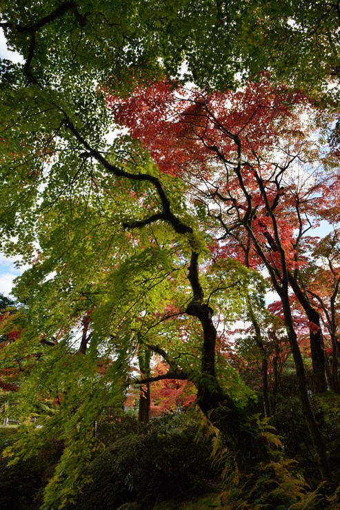f0222161_19345135.jpg