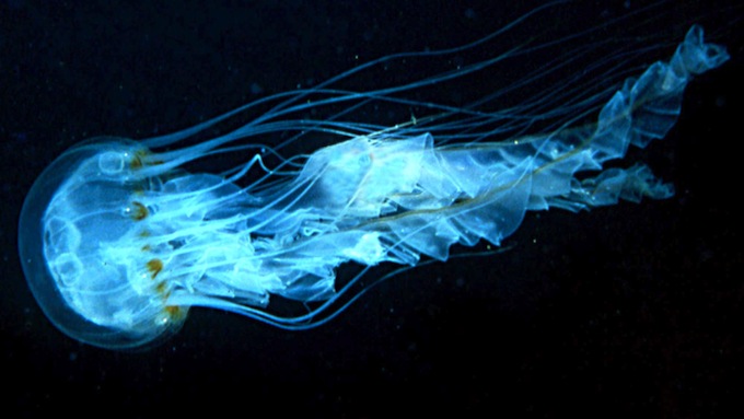 f0134963_18344416.jpg