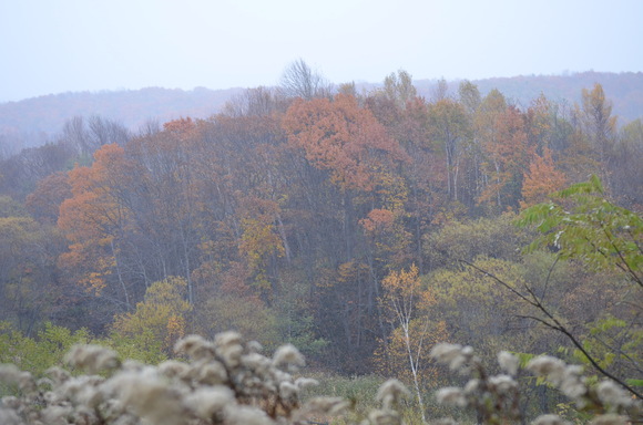 e0120466_1712820.jpg