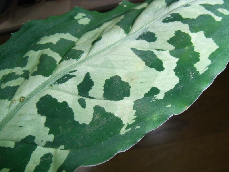 d0249970_2341450.jpg