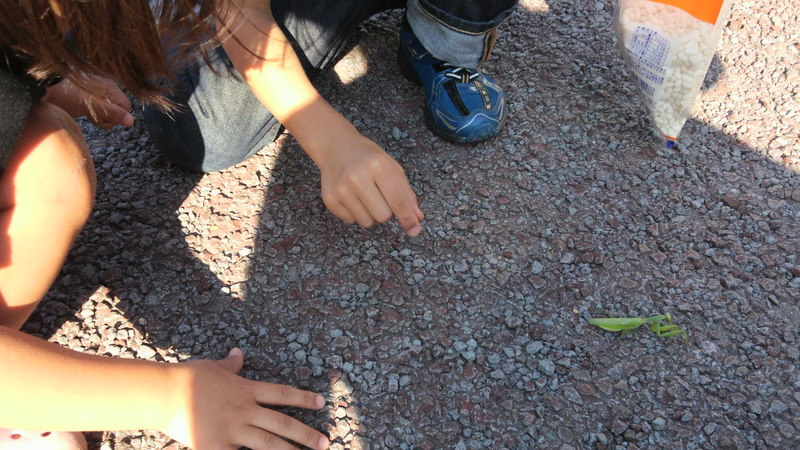 e0232773_2251336.jpg