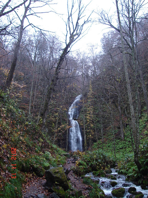 a0188775_10185296.jpg