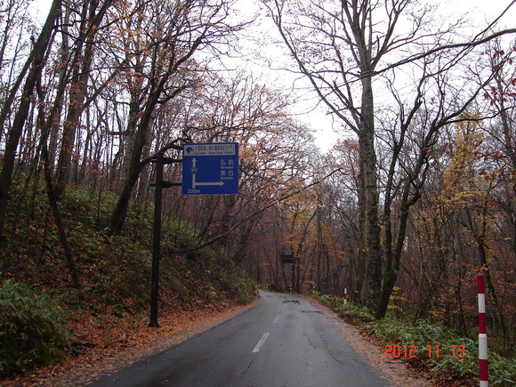 a0188775_9534871.jpg