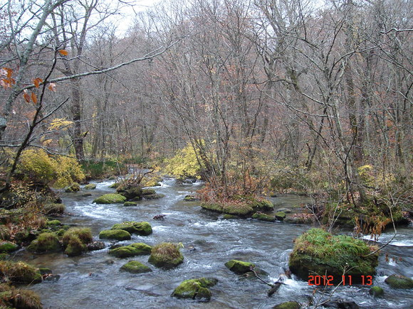 a0188775_954436.jpg