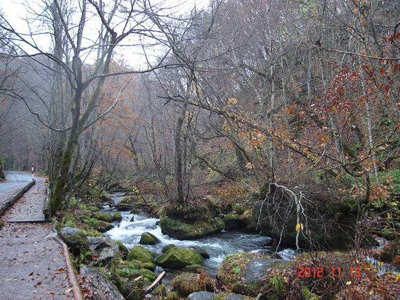 a0188775_9551050.jpg