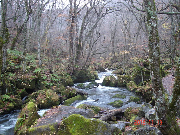 a0188775_955533.jpg
