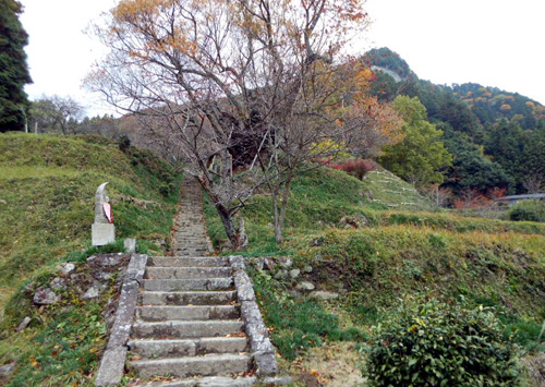 b0253075_2011197.jpg