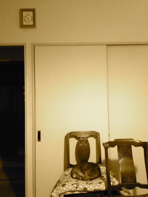 b0177078_13552056.jpg