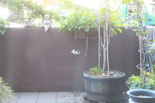 f0127388_11314583.jpg