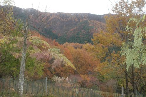 c0123890_10494719.jpg