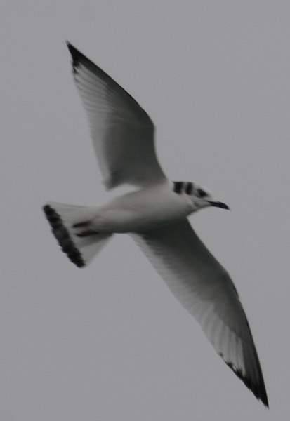 f0159390_1041943.jpg