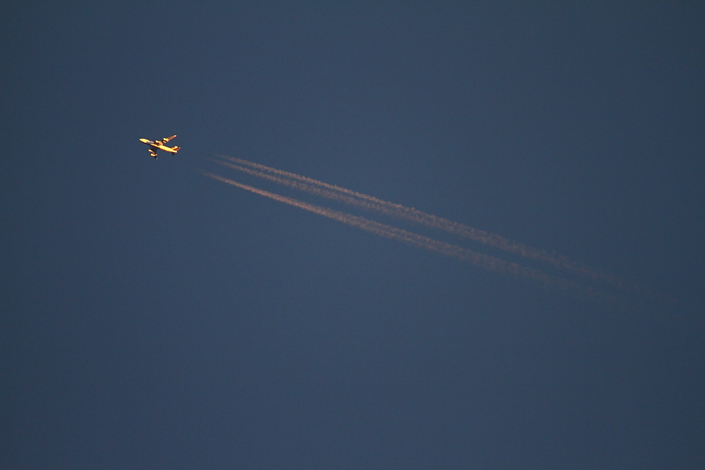 e0204891_20534348.jpg