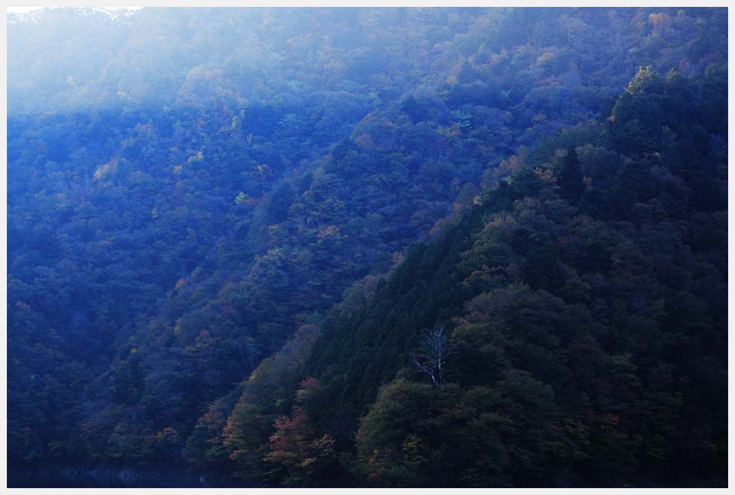 e0207391_194719.jpg