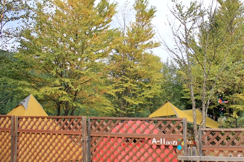 e0229992_1723877.jpg